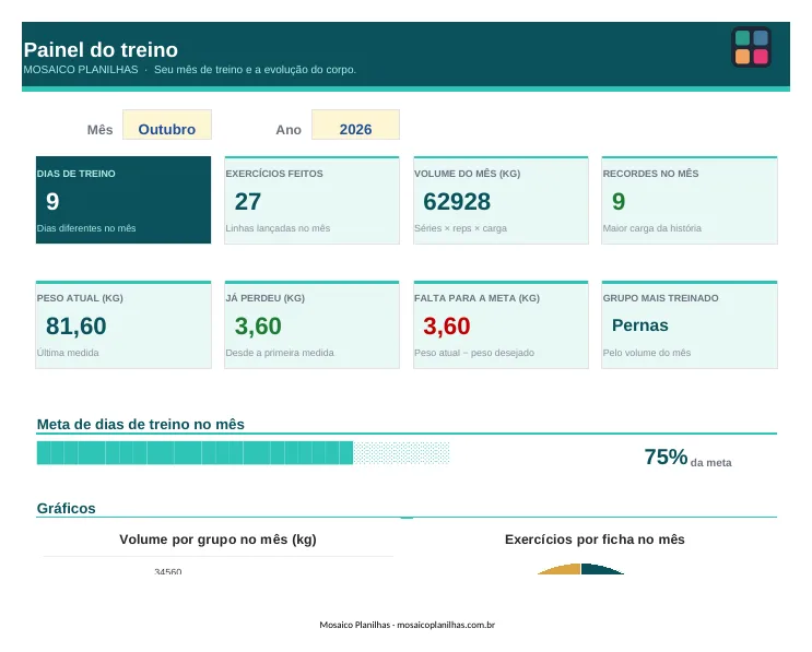 Painel da planilha Controle de Treino